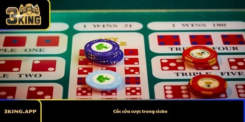 Các cửa cược trong sicbo – Hướng dẫn chi tiết cho người mới