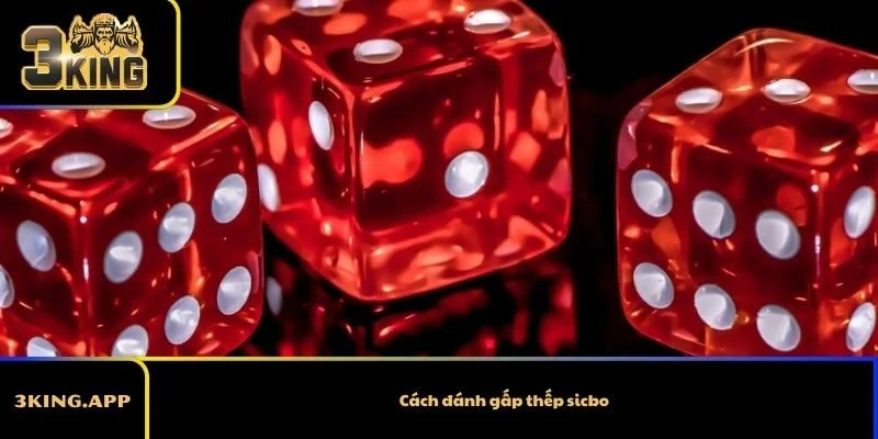 Cách đánh gấp thếp sicbo – Nhìn lại chiến thuật cực hay