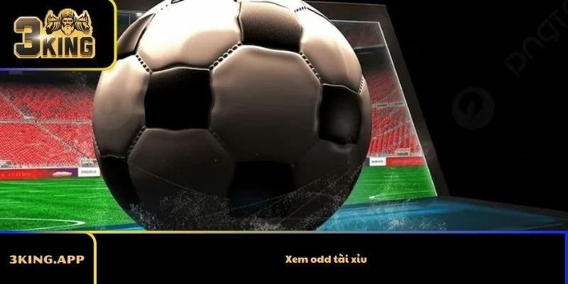 Xem odd tài xỉu – Cách đọc tỷ lệ và hiểu ý nghĩa từng cửa