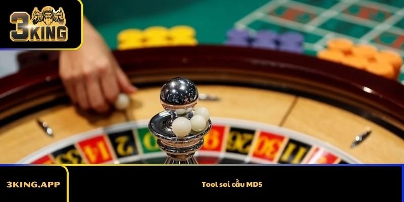 Tool soi cầu MD5 – Bản chất và rủi ro cần biết