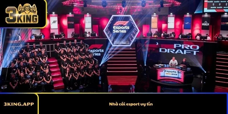 Nhà cái esport uy tín – Làm sao để chọn đúng trong thị trường lẫn lộn 
