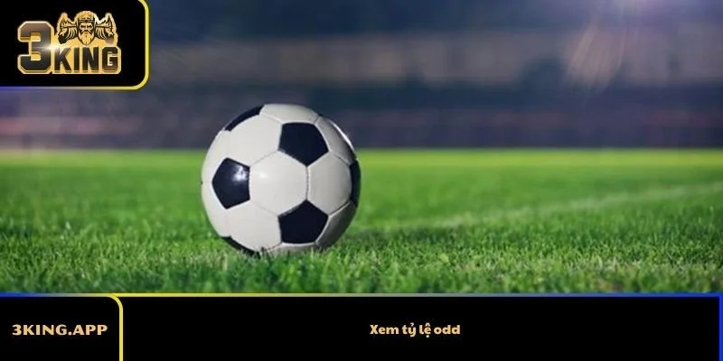Xem tỷ lệ odd là gì? Cách đọc thông tin odds cơ bản