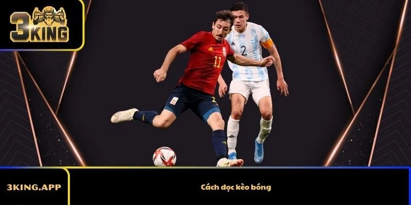 Cách đọc kèo bóng cực hiệu quả cho tân thủ