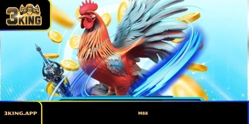 W88