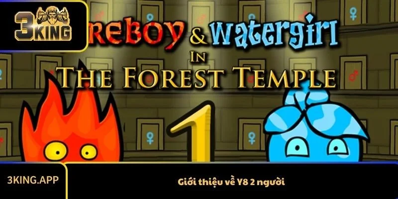 Giới thiệu về Y8 2 người