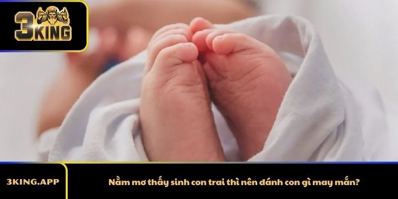 Nằm mơ thấy sinh con trai thì nên đánh con gì may mắn?