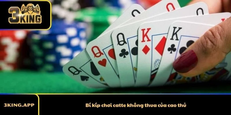 Bí kíp chơi catte không thua của cao thủ