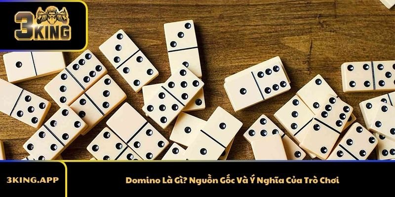 Domino Là Gì? Nguồn Gốc Và Ý Nghĩa Của Trò Chơi