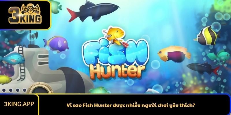Vì sao Fish Hunter được nhiều người chơi yêu thích?