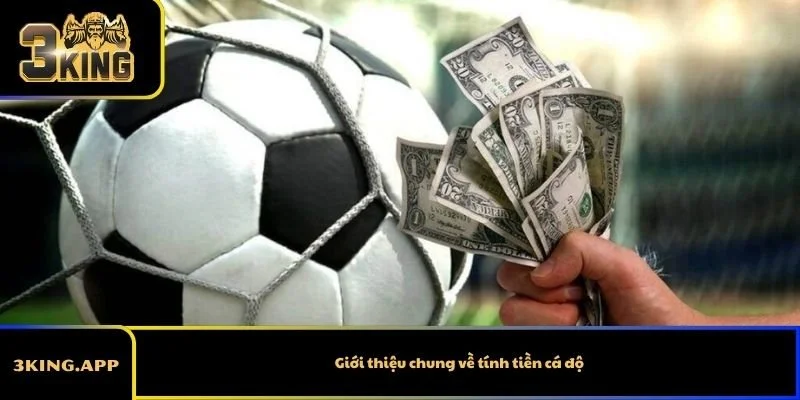 Giới thiệu chung về tính tiền cá độ