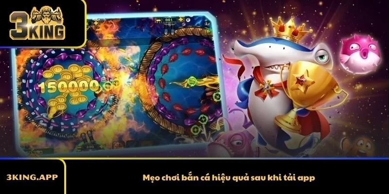 Mẹo chơi bắn cá hiệu quả sau khi tải app