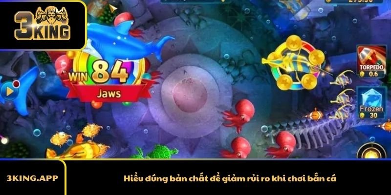 Hiểu đúng bản chất để giảm rủi ro khi chơi bắn cá