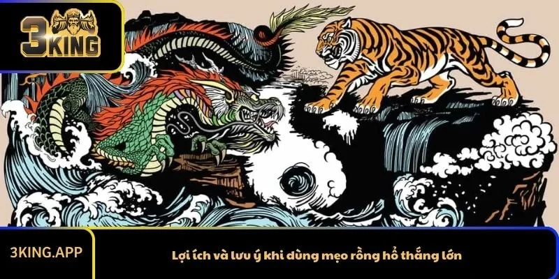 Lợi ích và lưu ý khi dùng mẹo rồng hổ thắng lớn