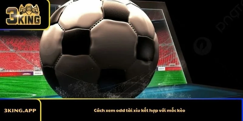 Cách xem odd tài xỉu kết hợp với mốc kèo