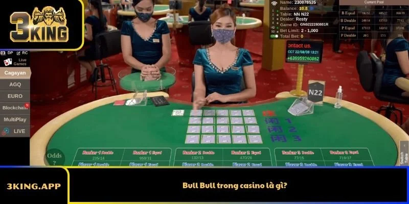 Bull Bull trong casino là gì?