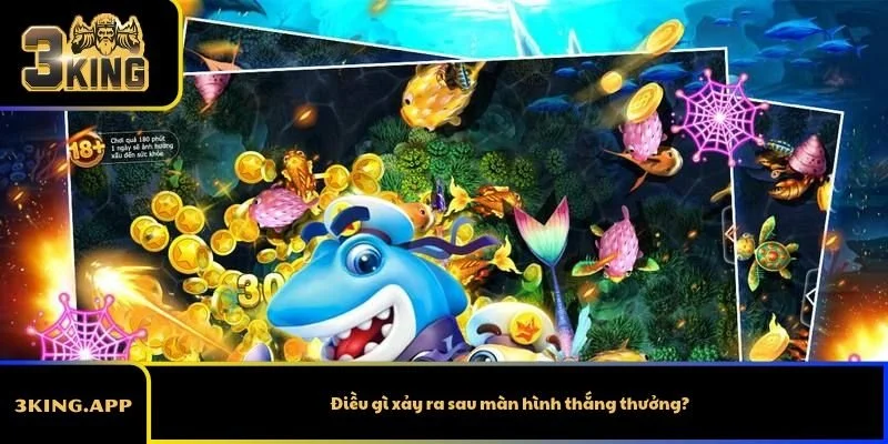 Điều gì xảy ra sau màn hình thắng thưởng?