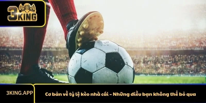 Cơ bản về tỷ lệ kèo nhà cái – Những điều bạn không thể bỏ qua