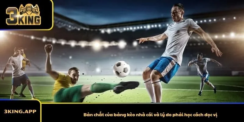 Bản chất của bảng kèo nhà cái và lý do phải học cách đọc vị