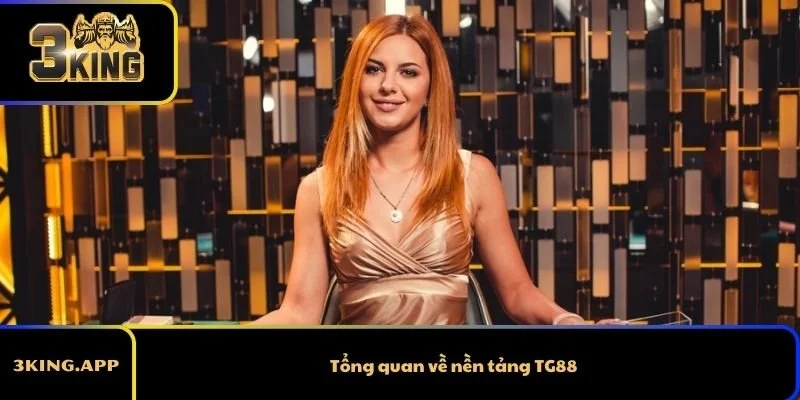 Tổng quan về nền tảng TG88 casino