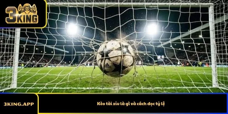 Kèo tài xỉu là gì và cách đọc tỷ lệ