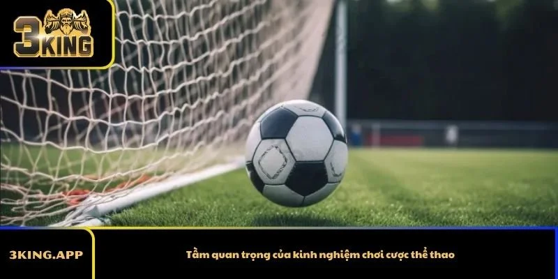 Tầm quan trọng của kinh nghiệm chơi cược thể thao