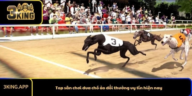 Top sân chơi đua chó ảo đổi thưởng uy tín hiện nay