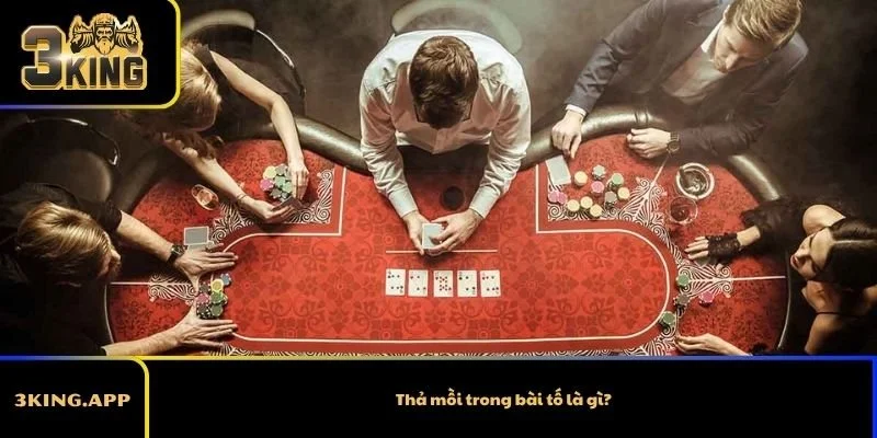 Thả mồi trong bài tố là gì?