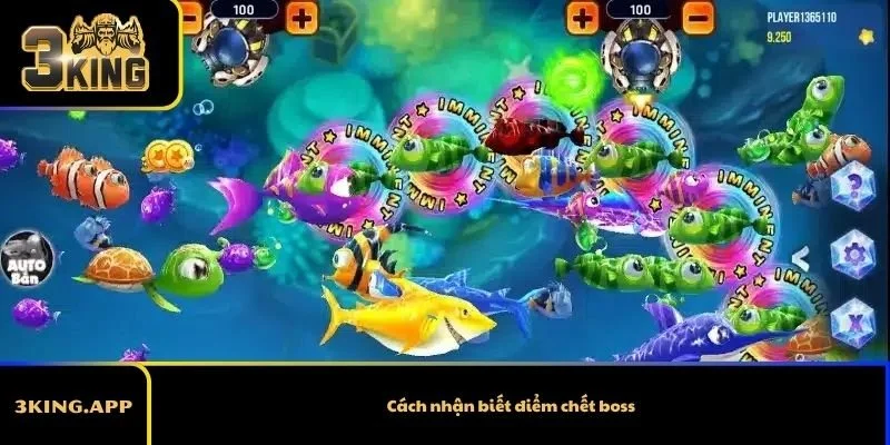 Cách nhận biết điểm chết boss