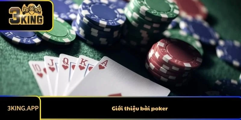 Giới thiệu bài poker