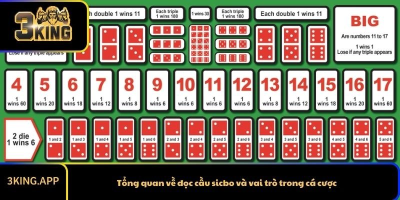 Tổng quan về đọc cầu sicbo và vai trò trong cá cược