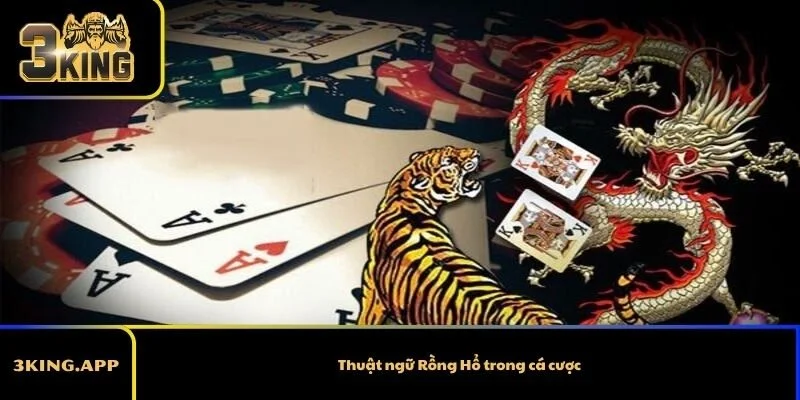 Thuật ngữ Rồng Hổ trong cá cược