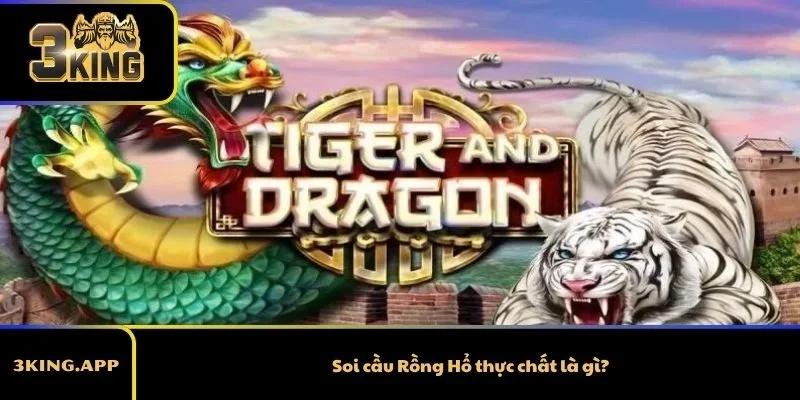 Soi cầu Rồng Hổ thực chất là gì?