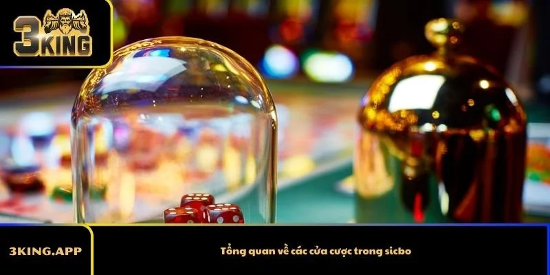 Tổng quan về các cửa cược trong sicbo