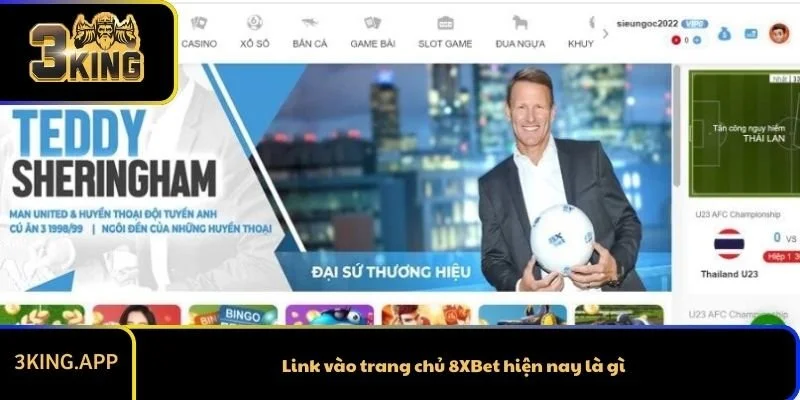Link vào trang chủ 8XBet hiện nay là gì