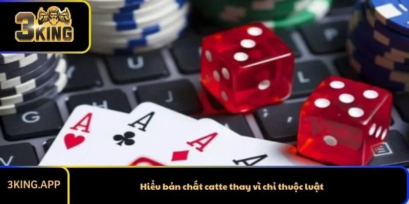 Hiểu bản chất catte thay vì chỉ thuộc luật