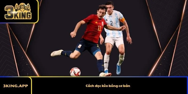 Cách đọc kèo bóng cơ bản
