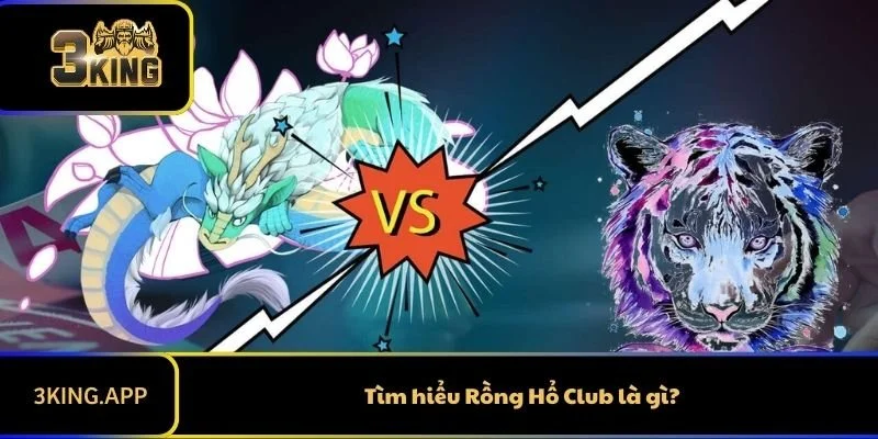 Tìm hiểu Rồng Hổ Club là gì?