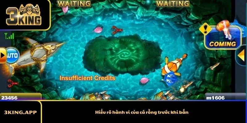 Hiểu rõ hành vi của cá rồng trước khi bắn