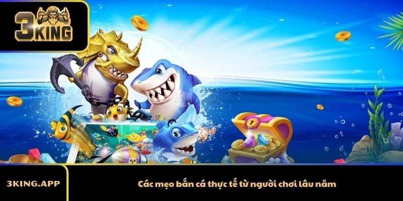 Các mẹo bắn cá thực tế từ người chơi lâu năm