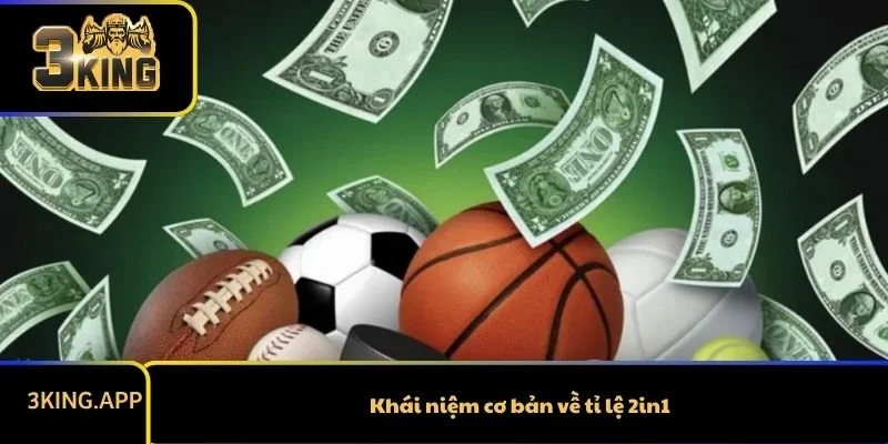 Khái niệm cơ bản về tỉ lệ 2in1