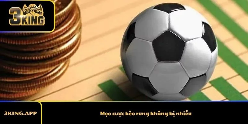 Mẹo cược kèo rung không bị nhiễu