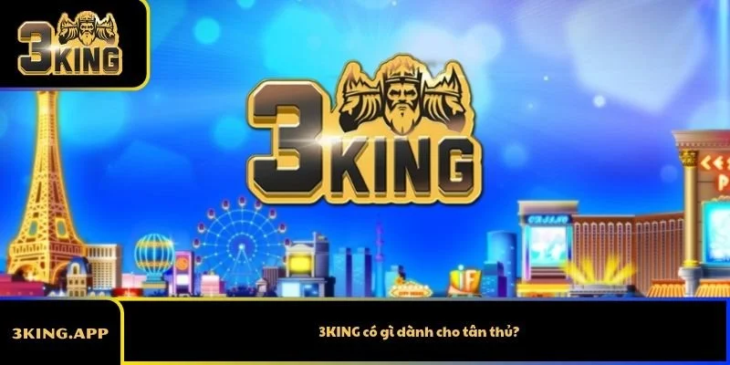 3KING có gì dành cho tân thủ?