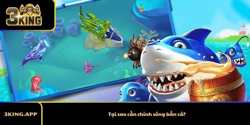 Tại sao cần chỉnh súng bắn cá?