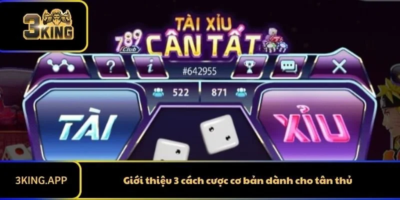 Giới thiệu 3 cách cược cơ bản dành cho tân thủ