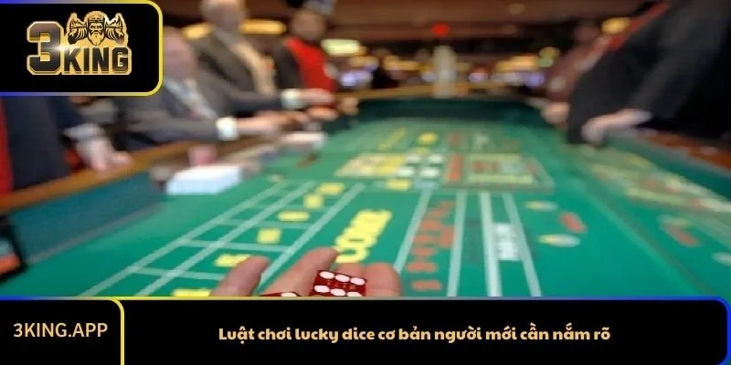 Luật chơi lucky dice cơ bản người mới cần nắm rõ