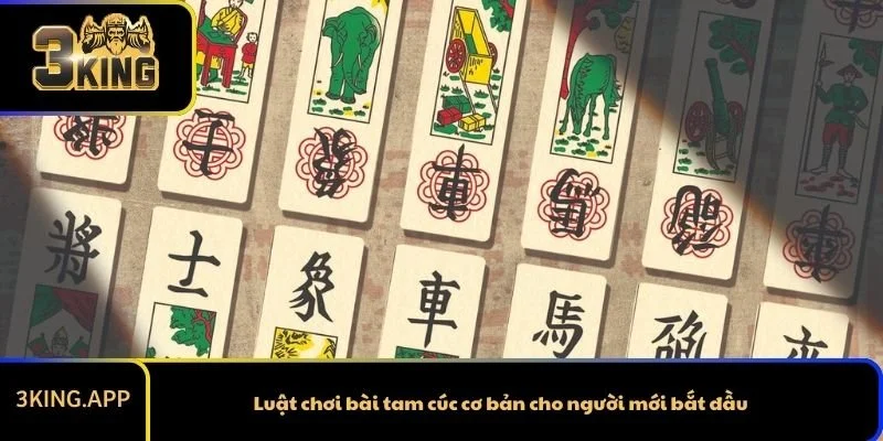 Luật chơi bài tam cúc cơ bản cho người mới bắt đầu