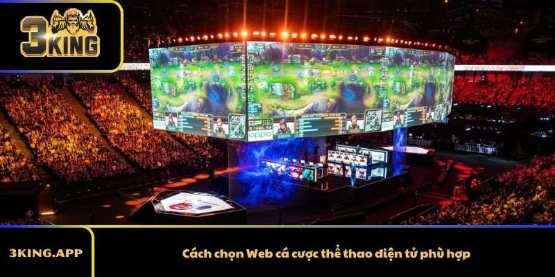 Cách chọn Web cá cược thể thao điện tử phù hợp