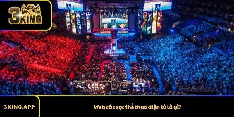 Web cá cược thể thao điện tử là gì?