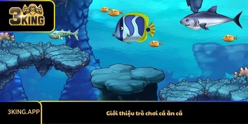 Giới thiệu trò chơi cá ăn cá