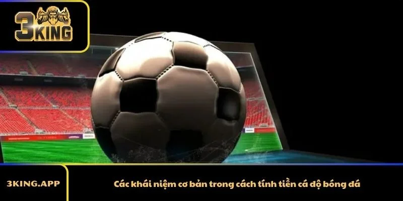 Các khái niệm cơ bản trong cách tính tiền cá độ bóng đá